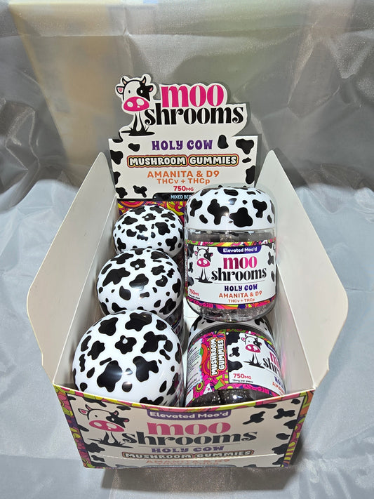 MOOSHROOMS AMANITA MUSCARIA 20 GUMMIES