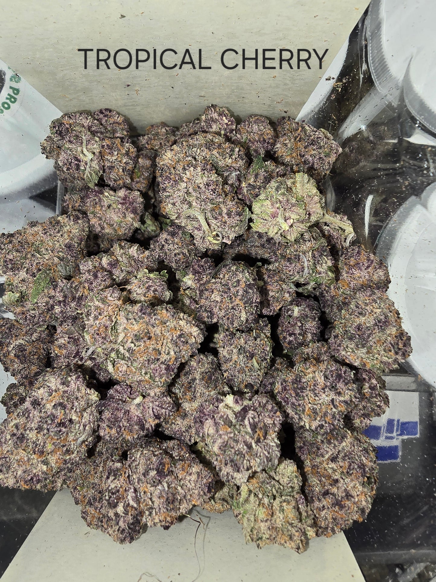 DOPE PROS EXOTIC 1QP THCA FLOWER