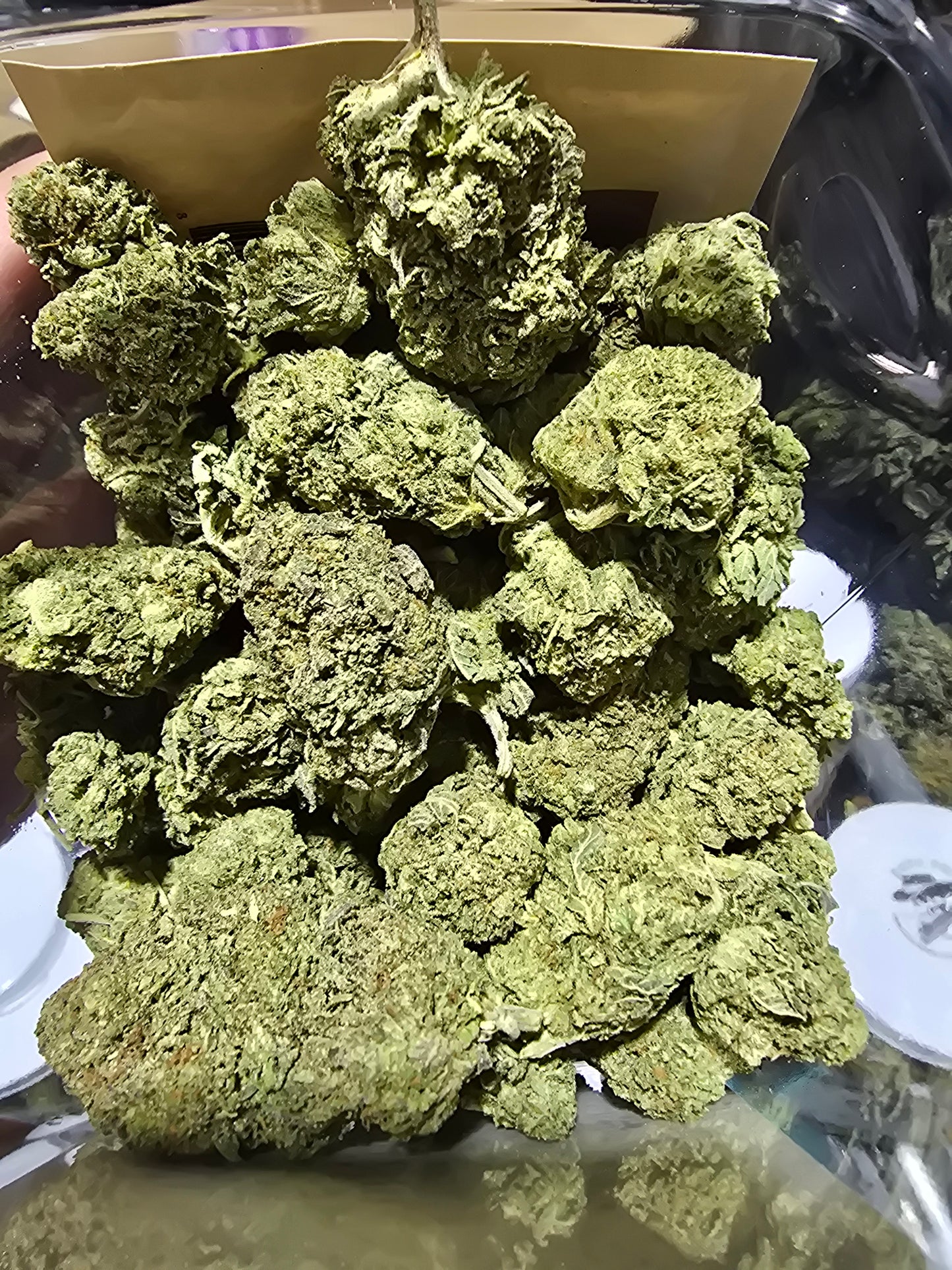 DOPE PROS PREMIUM 1QP THCA FLOWER