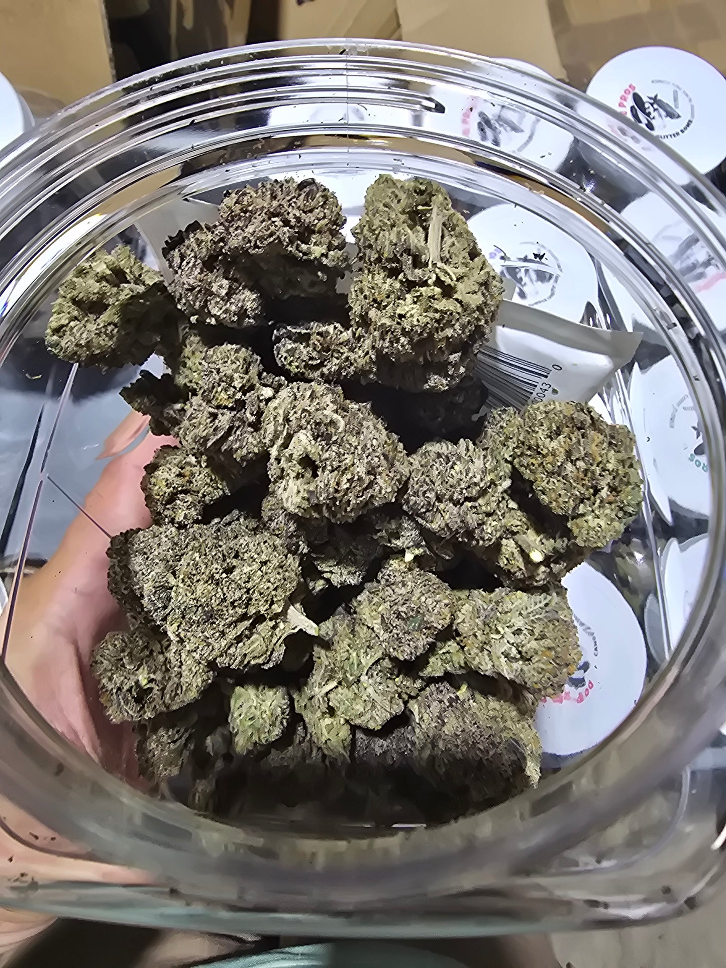 DOPE PROS EXOTIC 1QP THCA FLOWER