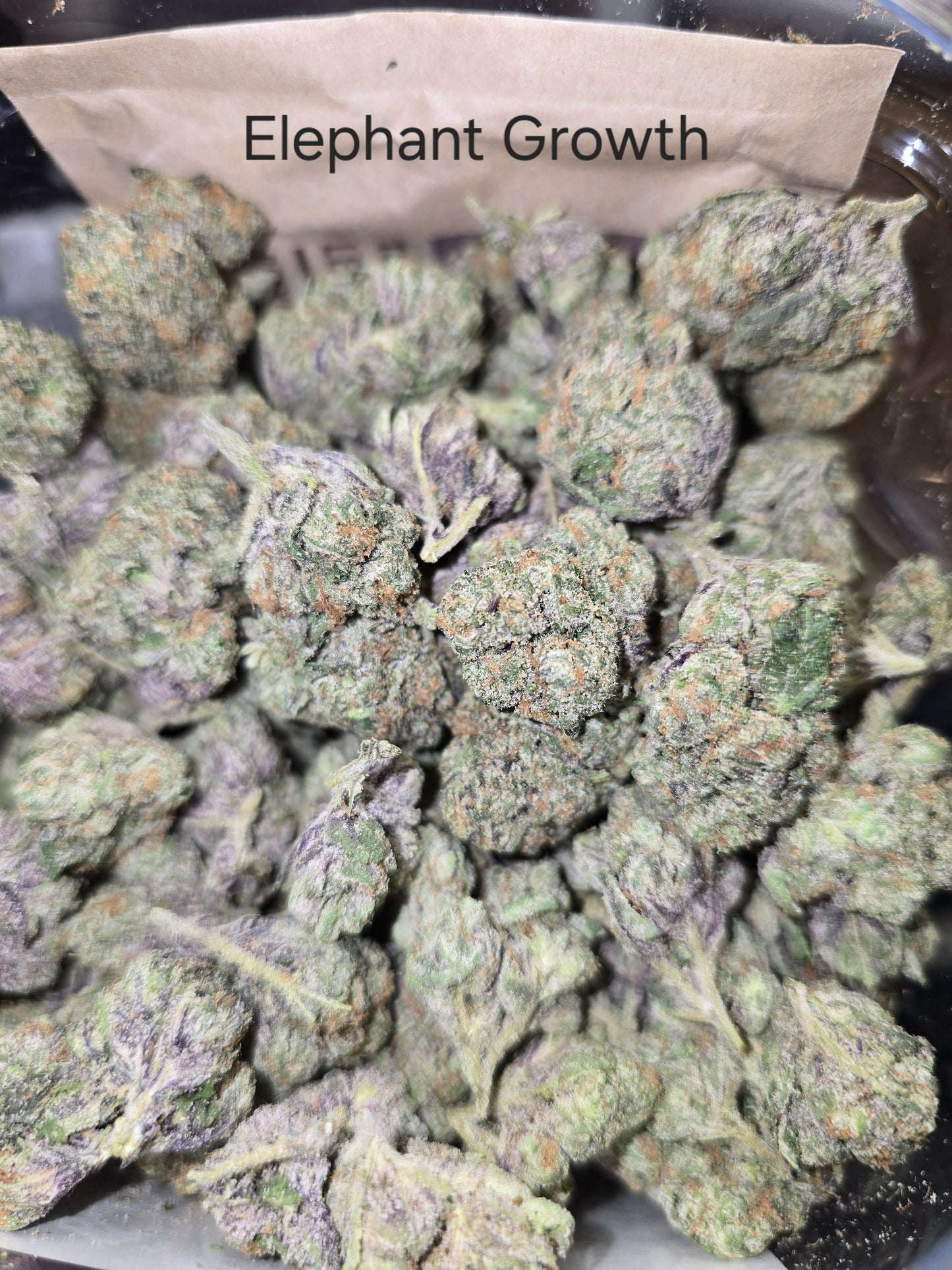 DOPE PROS EXOTIC 1QP THCA FLOWER