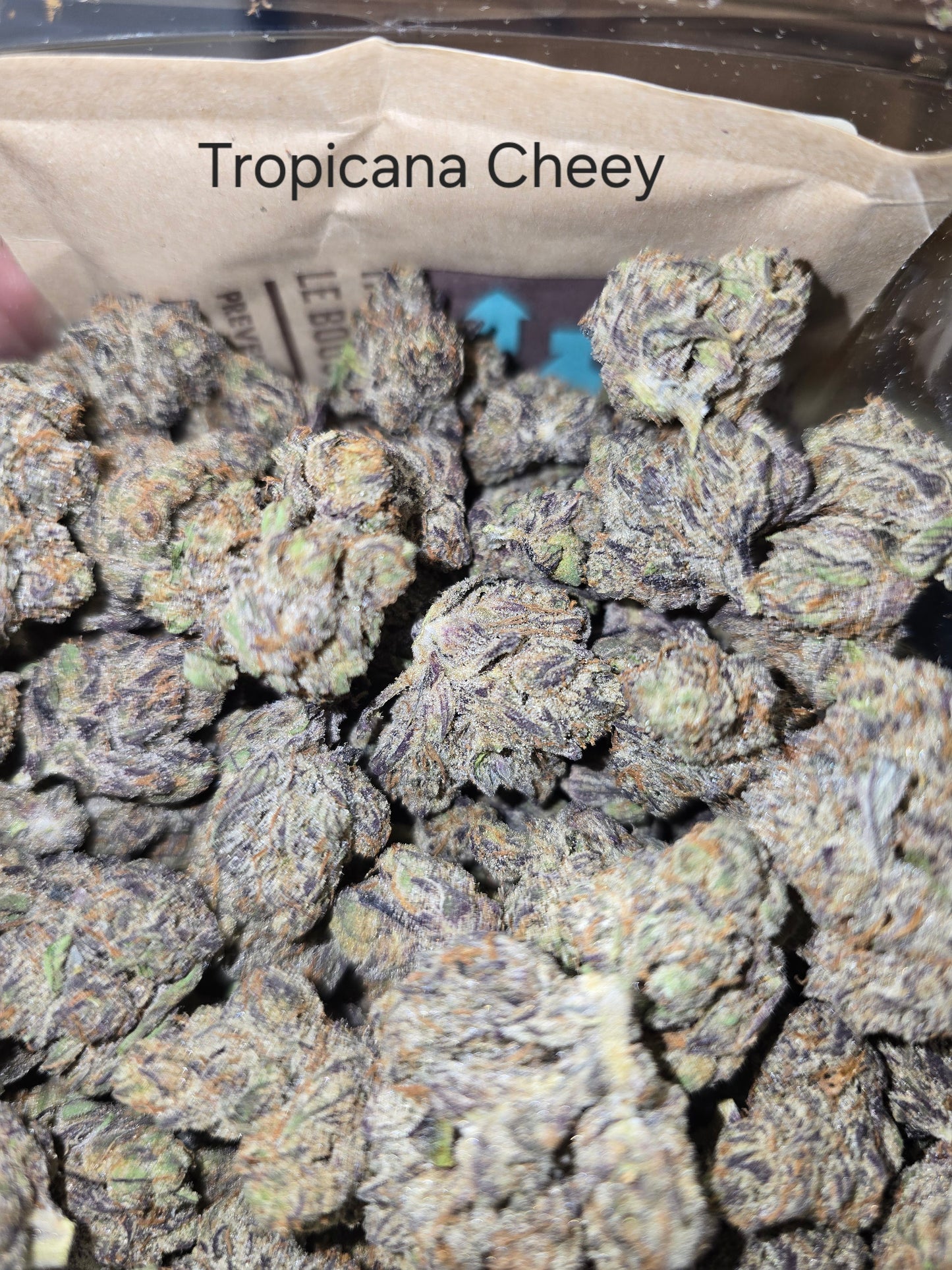DOPE PROS EXOTIC 1QP THCA FLOWER