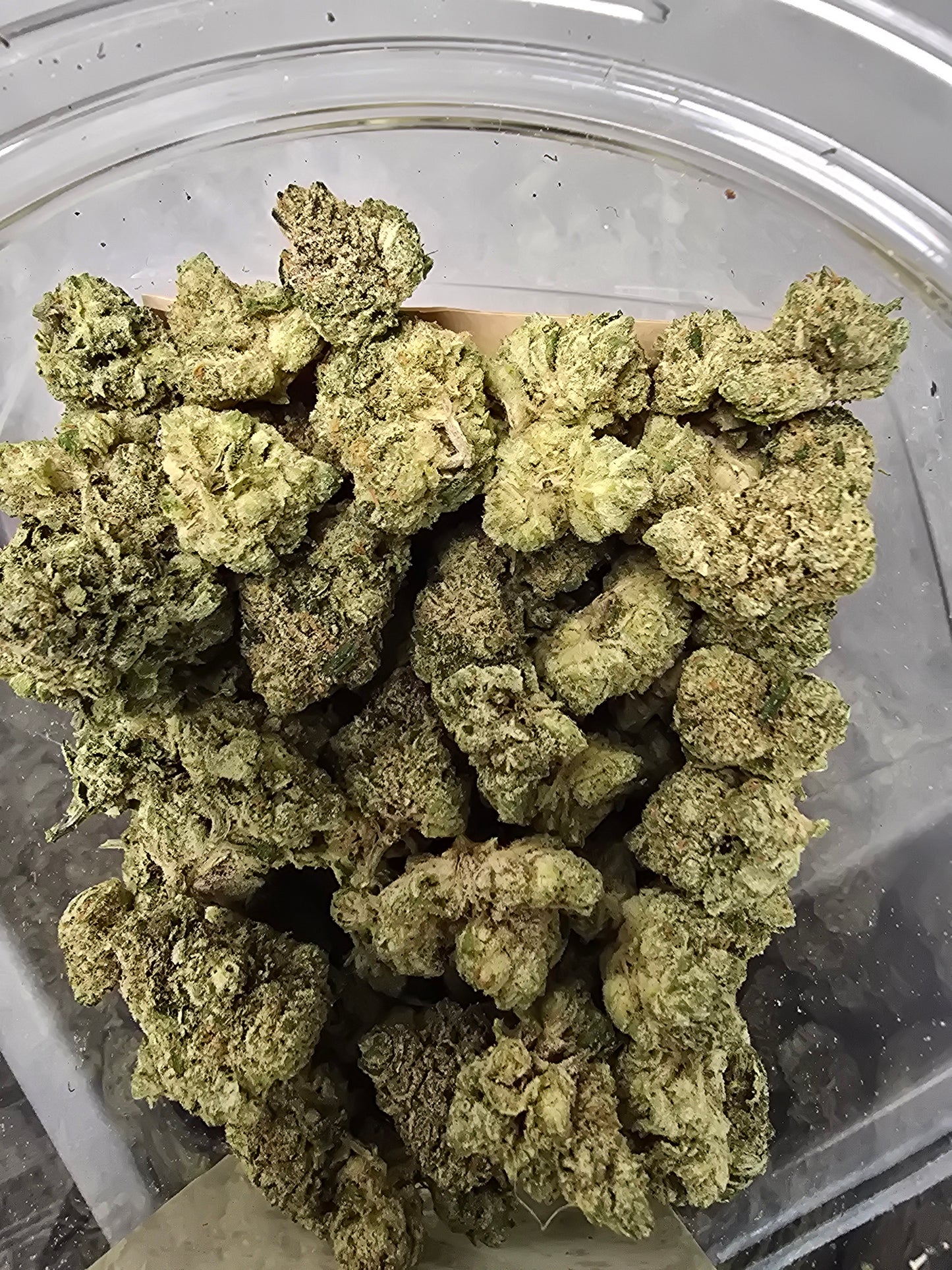 DOPE PROS EXOTIC 1QP THCA FLOWER
