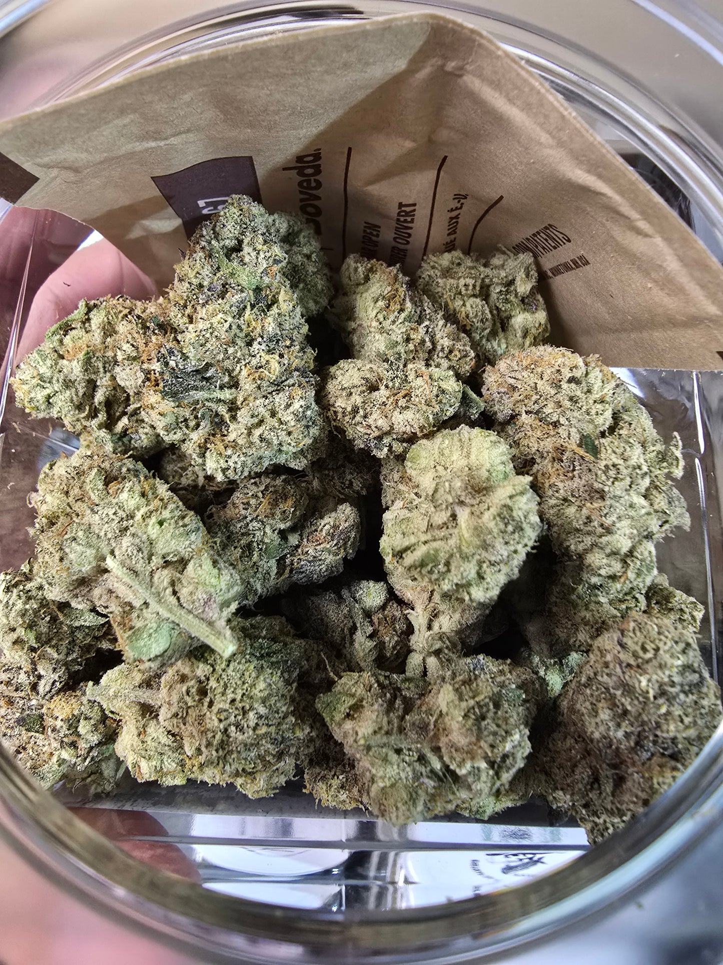 DOPE PROS EXOTIC 56G THCA FLOWER