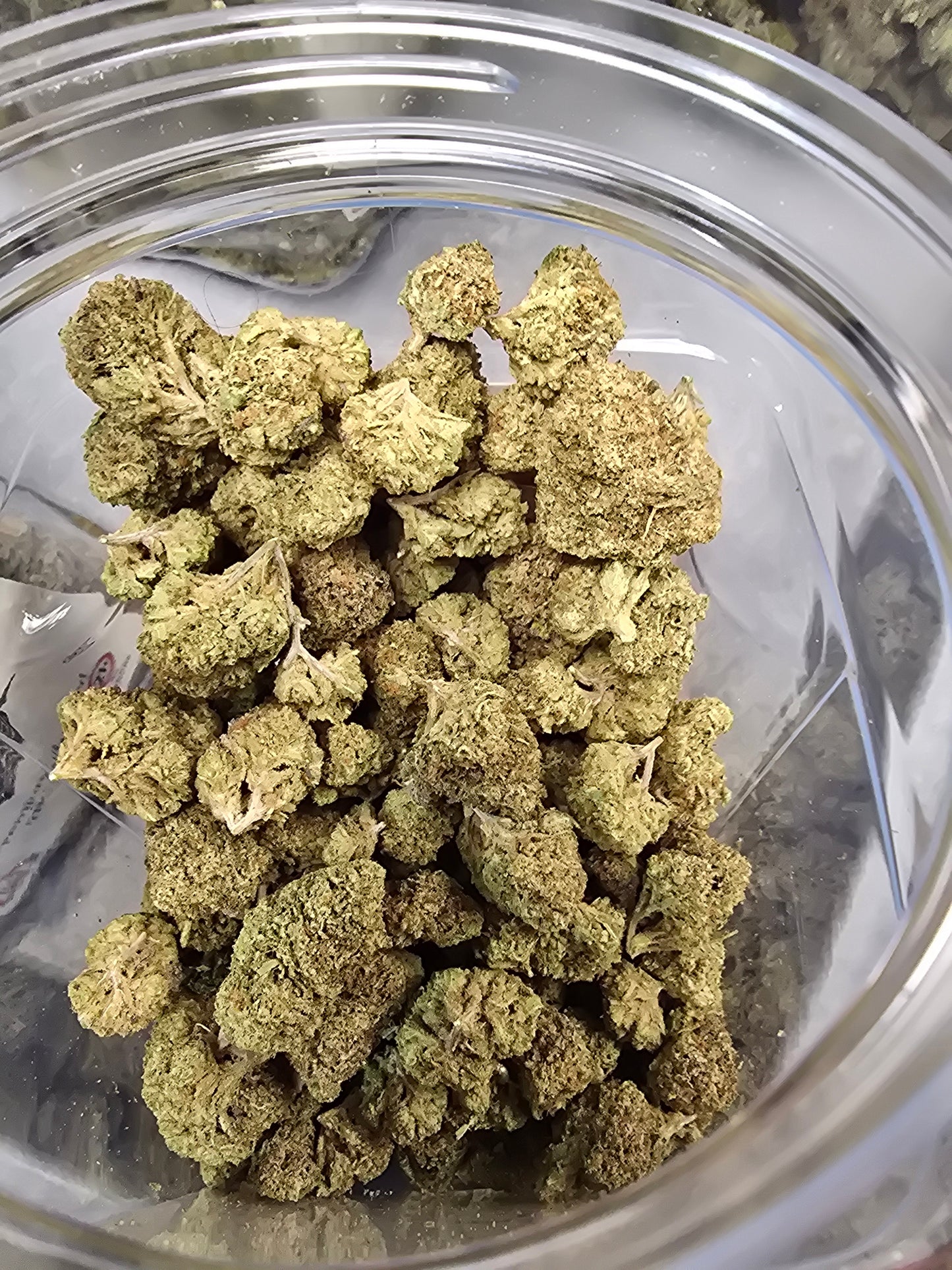 DOPE PROS PREMIUM 1QP THCA FLOWER