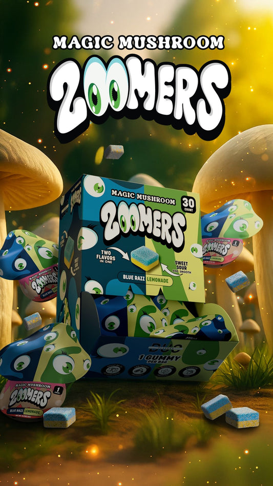 ZOOMERS MAGIC MUSHROOM 1PK 30CT DUAL FLAVOR