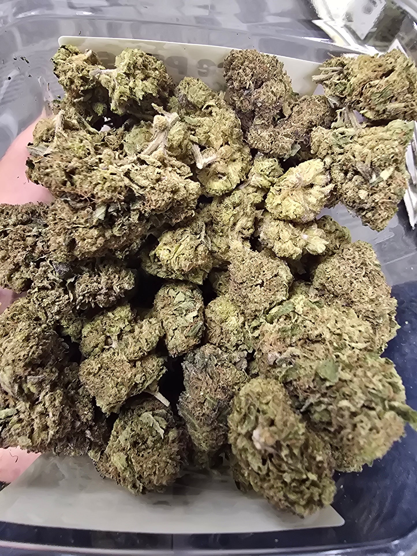 DOPE PROS PREMIUM QP THCA FLOWER