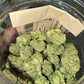 DOPE PROS PREMIUM 56G THCA FLOWER