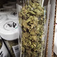 DOPE PROS PREMIUM 14G THCA FLOWER