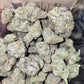 DOPE PROS EXOTIC 1QP THCA FLOWER