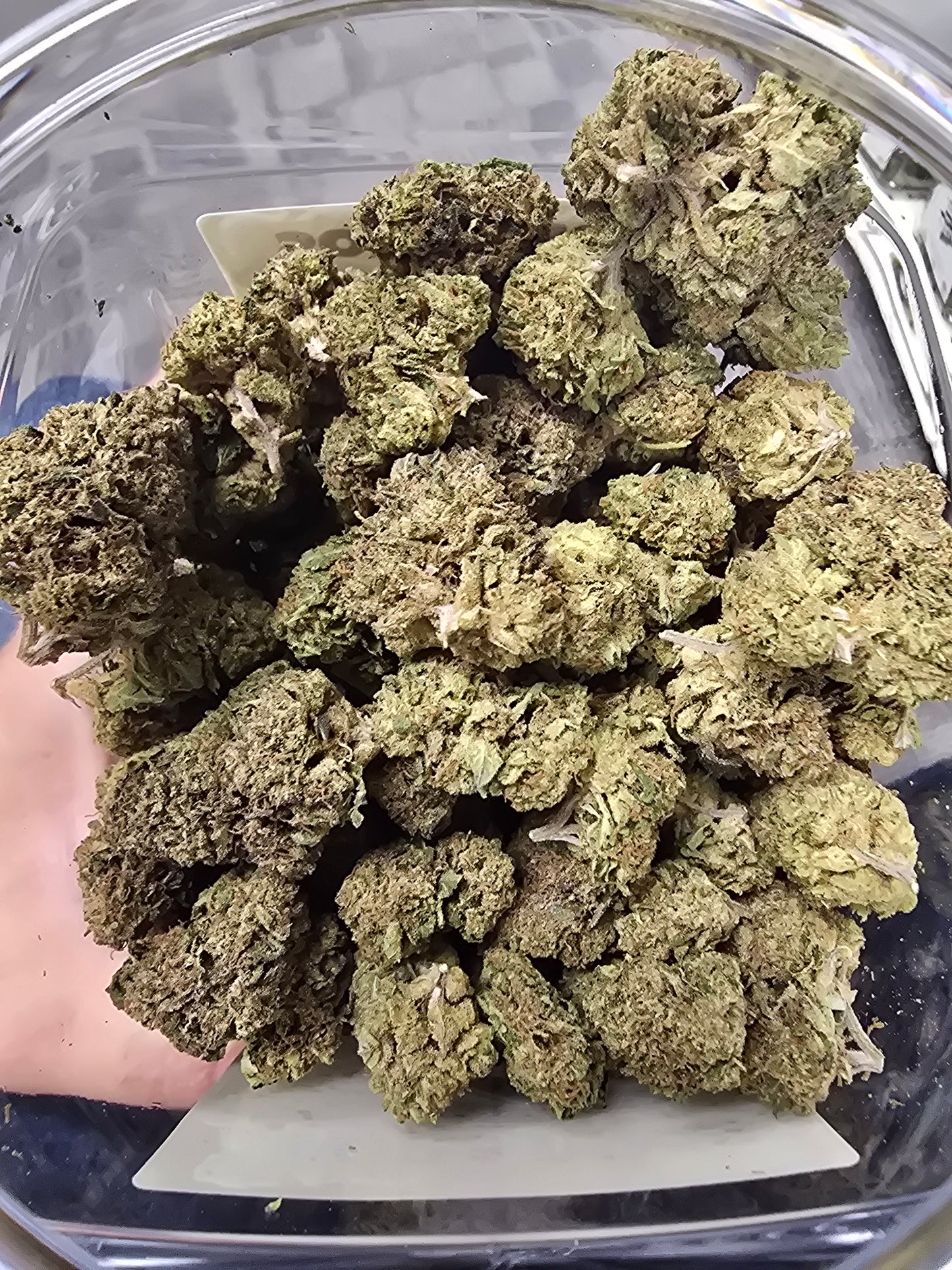 DOPE PROS PREMIUM QP THCA FLOWER
