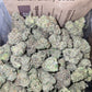 DOPE PROS EXOTIC 1QP THCA FLOWER