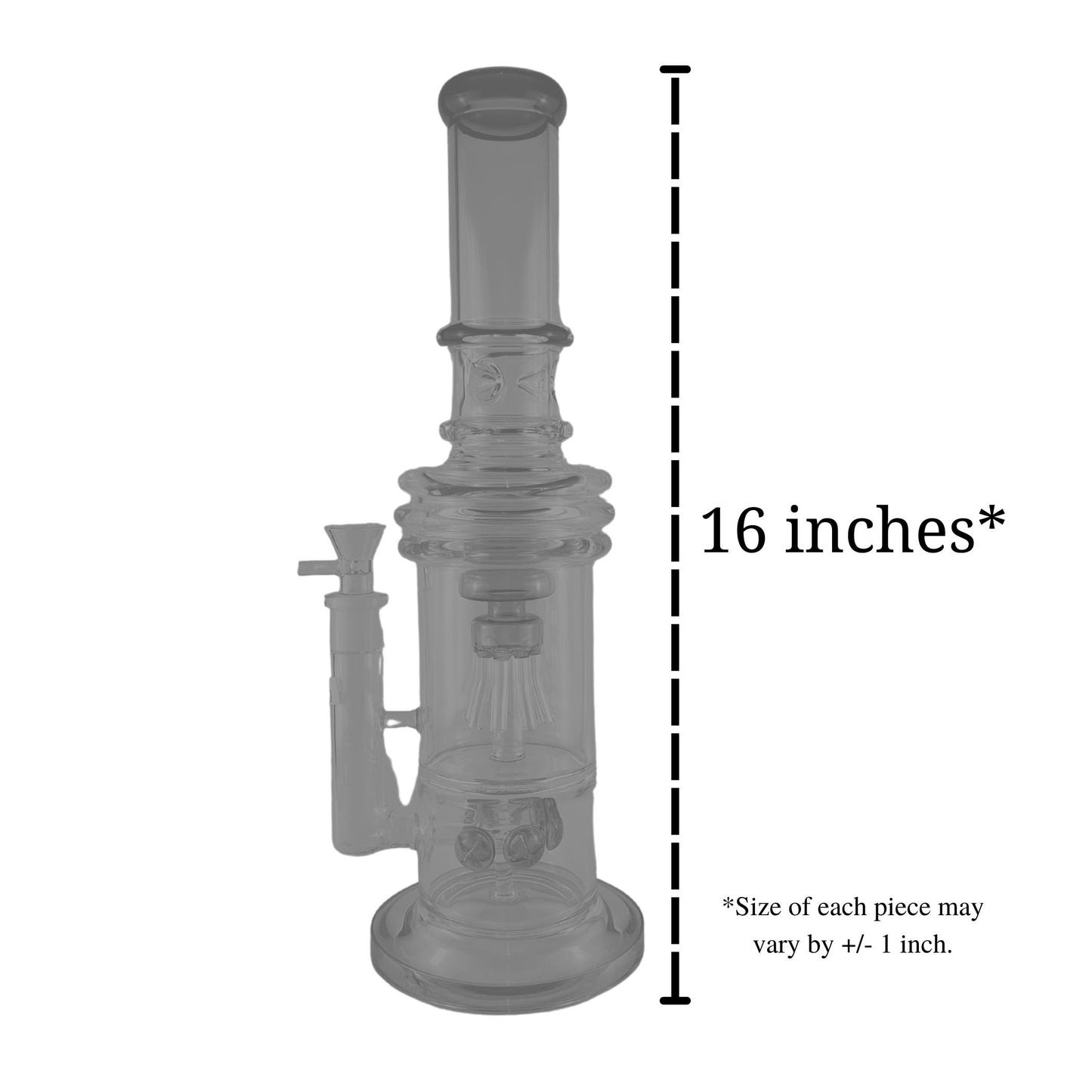 CH JELLYFISH | 16 in. | 1 Perc